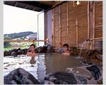 Hakuba Alps Hotel, Hakuba, Nagano