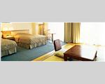 Hakuba Alps Hotel, Hakuba, Nagano