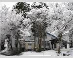 Jimmys House, Hakuba, Nagano