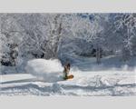Lodge Nagano, Nozawa Onsen, Nagano