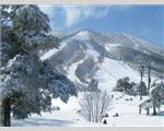 Madarao Elm Pension, Iiyama, Nagano