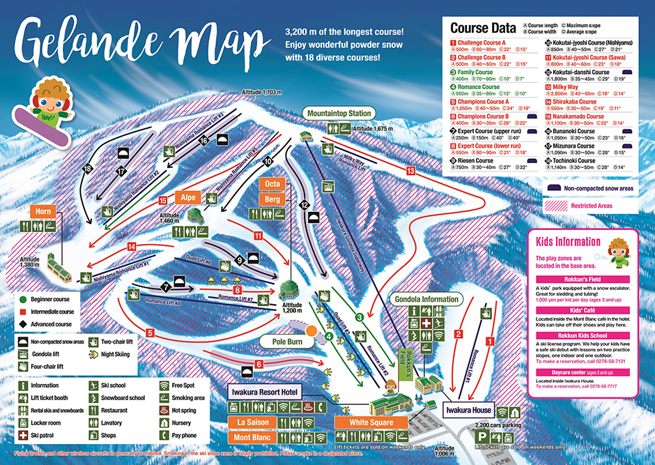 スキー iwasaki653k 槌屋ヤック株式会社