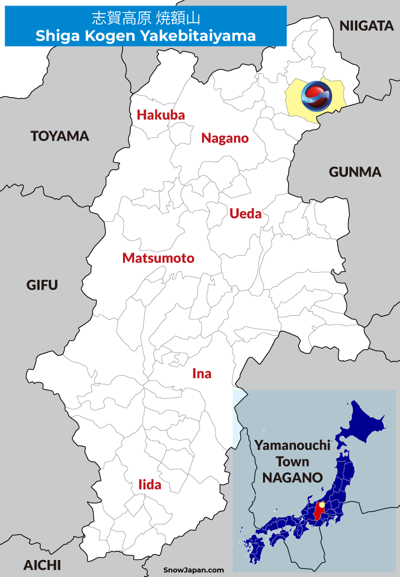 その他 kogen Amazon.com: Automotive-leader 4Pcs F6T553 Ignition Coils