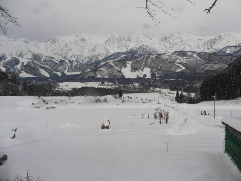 Hakuba Now (28th January 2019) Hakuba daily snow and weather