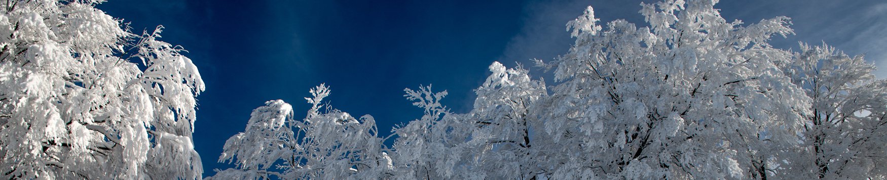 SnowJapan: Ski area news from around Japan