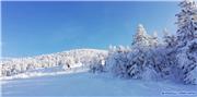 Good to ski when other places are too warm, uploaded by DL  [Tengendai Kogen, Yonezawa City, Yamagata]