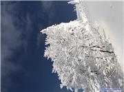 Snow monsters are growing!!, uploaded by Kchan  [Ani, Kita Akita City, Akita]