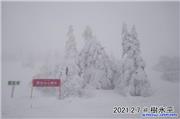 Snow monsters are growing!!, uploaded by Kchan  [Ani, Kita Akita City, Akita]