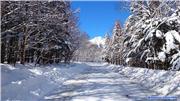 Snow photos, uploaded by snowdude  [Sun Meadows Kiyosato, Hokuto City, Yamanashi]